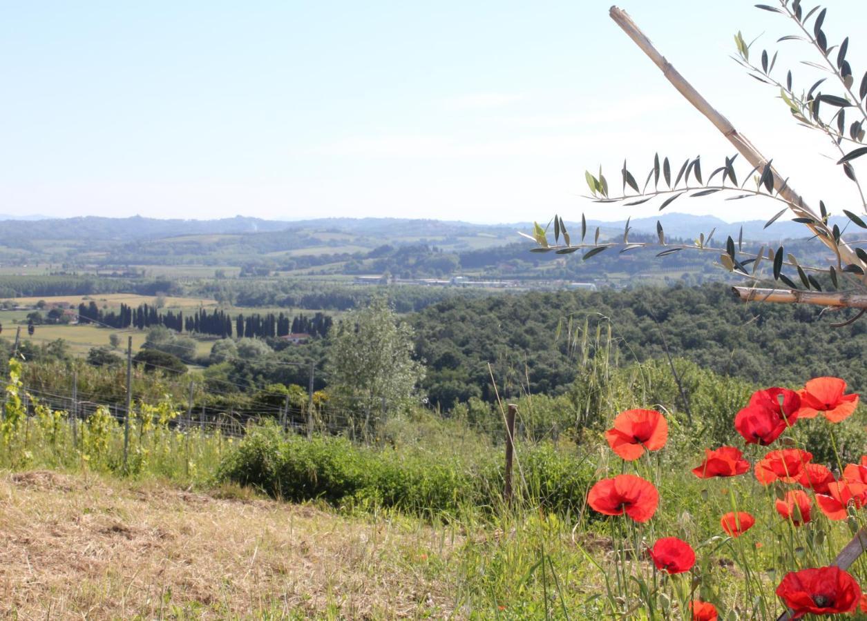 Tuscany Life Terricciola Eksteriør bilde